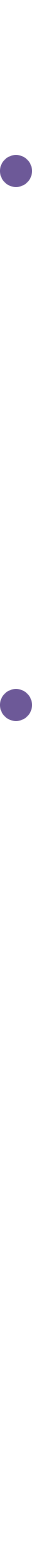 縦ライン